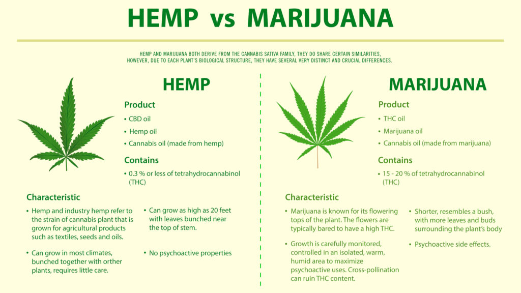 What's the difference between hemp and marijuana?