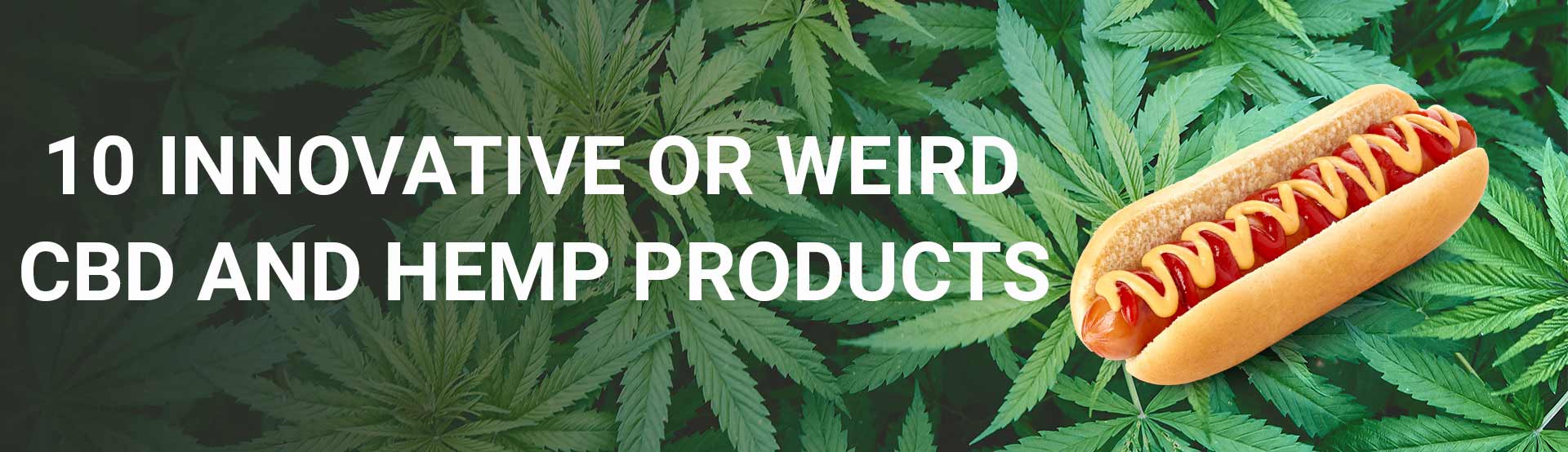 10 Innovative and weird CBD and hemp products - Hero Image