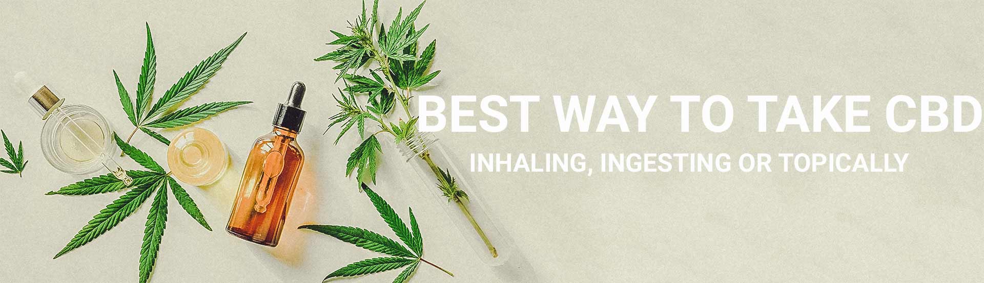 What is the best way to take CBD? Inhaling, ingesting, or topically? Hero image